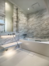 TOTO�V�X�e���o�X�V�����{�H���ˌ�